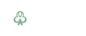 dublinbet logo