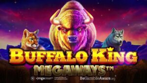 Buffalo King Megaways pragmatic play